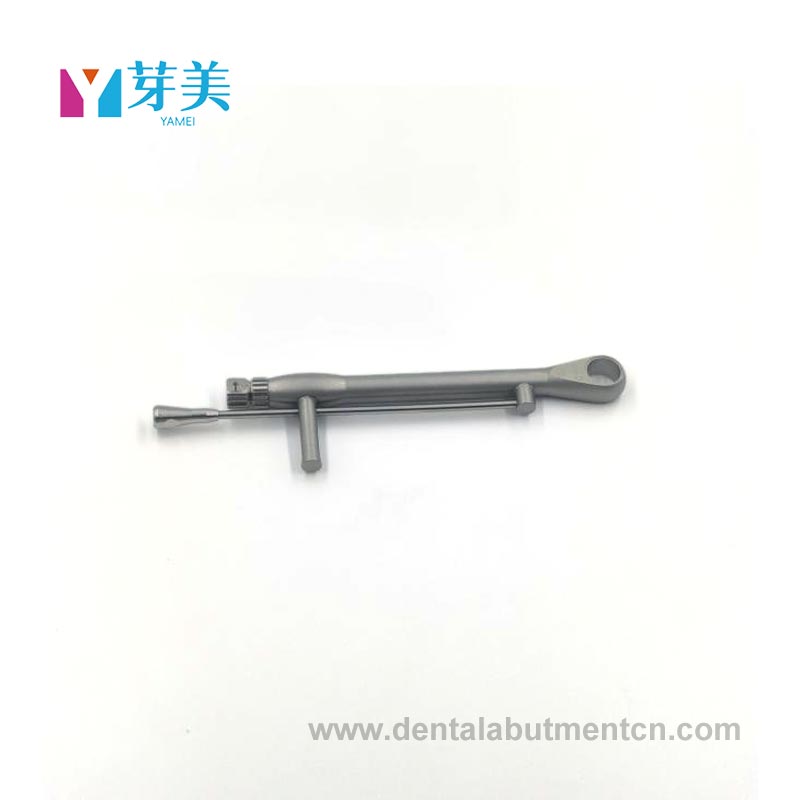 Pemandu tork
